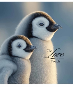 Зошит в лінію 36 аркушів, кольорова обкладинка УФ-лак, дизайн: The love of touch. Star Школярик 036-3665L