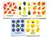 Зошит в клітинку 96 аркушів кольорова обкладинка, дизайн: Congrev Fruits з конгревним тисненням та УФ лак покриттям Тетрада ТЕ13132