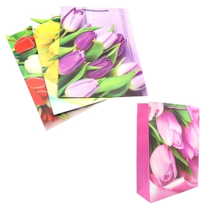 Пакет подарочный бумажный, 41,5х30х12 см, микс (упаковка 1 цвет) Flowers DSCN2981 Josef Otten