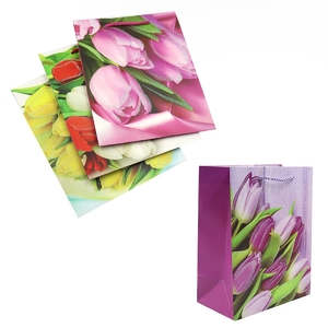 Пакет подарунковий паперовий, 23х18х10 см, мікс (упаковка 1 колір) Flowers DSCN2981 Josef Otten