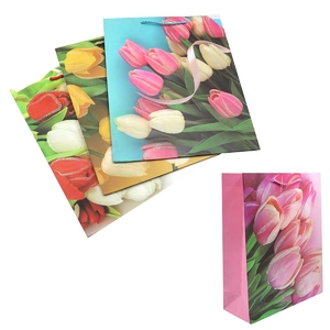 Пакет подарунковий паперовий, 32х26х10 см, мікс (упаковка 1 колір) Flowers DSCN2981 Josef Otten