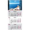 Календар настінний квартальний на 2022 рік, 63х29,7 см, на пружині Море 8801-05-A Axent