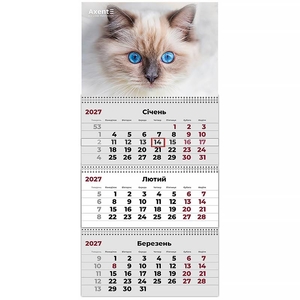 Календар настінний квартальний на 2027 рік, 63х29,8 см, 3 пружини Cats 2 8803-27-8-A Axent