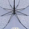 Зонт детский, диаметр 86 см, длина 68 см, полуавтоматический механизм DC Comics DC22-2001 Kite