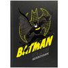 Щоденник шкільний, обкладинка картон твердий DC Comics DC25-262-1 Kite