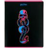 Тетрадь в клетку 24 листа, цветная обложка УФ лак объемная, дизайн: Harry Potter Kite HP22-238