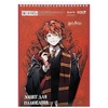 Альбом для рисования А4, 30 листов, 100 г/м2, микс Harry Potter HP25-243 Kite