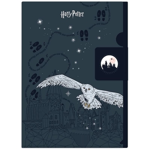 Папка-уголок А4, с клапаном Harry Potter HP25-248-2 Kite