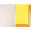 Папір кольоровий неоновий А4, 5 кольорів (10 аркушів), 80 г/м2 Naruto NR23-252 Kite