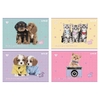 Альбом для малювання А4, 24 аркуші, 100 г/м2, мікс Studio Pets SP25-242 Kite