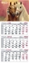 Календарь настенный квартальный на 2026 год, 64,8х29,8 см, с бегунком, 3 пружины Год лошади BM.2105.10 Buromax Календарь настенный квартальный на 2026 год, 64,8х29,8 см, с бегунком, 3 пружины Год лошади BM.2105.10 Buromax