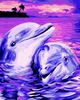 Картина по номерах, 40х50 см Дельфінова вірність ZB.64254 ZiBi
