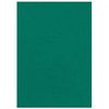 Обкладинка картонна А4 DELTA 250мкм, під шкіру, зелена f.53715 (1/100/1000)