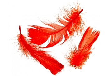 Наповнювач декоративний для подарункових пакетів та боксів, 10 г, червоний Пір'я BJ21-05115-A Maxi