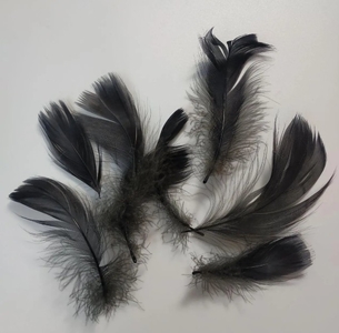 Наповнювач декоративний для подарункових пакетів та боксів, 10 г, чорний Пір'я BJ21-05115-B Maxi