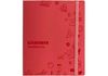 Щоденник шкільний, 165х210 мм, обкладинка - м’яка, 48 арк., колір червоний CF29936-03 (1)