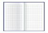 Щоденник недатований А5, 320 сторінок в клітинку, м'яка обкладинка CROSS E22006-06 Economix