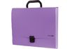 Портфель пластиковый A4 Economix на застежке, 1 отделение, фиолетовый E31607-12 (1)