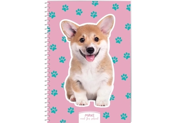 Блокнот А5, 60 страниц в клетку, пластиковая обложка MX21213-13 Maxi
