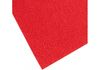 Фоаміран з плюшевою фактурою, 20х30 см, 2 мм, червоний MX61863 (5)