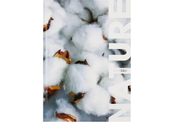 Книга канцелярская А4, 96 страниц в клетку, обложка картон твердый NATURE O20294-08 Optima