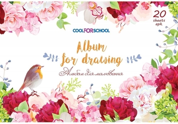 Альбом для рисования А4, 20 листов, 100 г/м2, микс CF60902-09 Cool for School