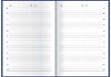 Дневник датированный 2022 А5, 352 страницы, линия, твердый переплет CARIN E21689-24 Economix