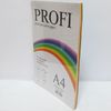 Набір кольорового паперу А4 80г/м2 10 аркушів PROFI Josef Otten