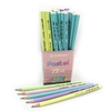 Карандаш чернографитный НВ, микс Pastel 43985 753692 Acmeliae