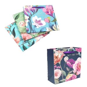 Пакет подарочный бумажный, 14,5х15х6 см, микс (упаковка 1 цвет) Just for you DSCN3003 Josef Otten