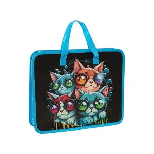 Портфель пластиковый 32х26х8 см, на молнии Cats DSCN4056_2 Josef Otten