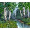 Картина по номерах, 30х40 см Берези EKTL1313_O 745758 Josef Otten