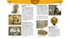 Ілюстрована дитяча Енциклопедія чомусика 112 сторінок, крейдований папір, тверда обкладинка (1/10)