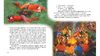 Шкатулка сказок Сказки мира для возраста от 3-9 лет, 64 страницы, мелованная бумага, твердый переплет (16)