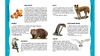 Ілюстрована дитяча Енциклопедія тварин» з серії Всезнайко на 64 сторінки, крейдований папір, тверда обкладинка із золотим тисненням (1/16)