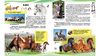 Иллюстрированная детская энциклопедия Домашние животные и их дикие сородичииз серии Воспитываем личность, 65 страниц, мелованная бумага, твердая обложка