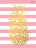 Блокнот А5, 64 стороны, мягкая обложка Pineapple 151492 Yes
