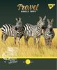 Зошит в клітинку 24 аркуші, кольорова обкладинка, дизайн: Wild Animals Yes 764308