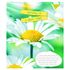 Зошит в клітинку 24 аркуші, кольорова обкладинка, дизайн: Summer flowers Yes 765893