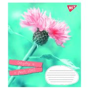 Зошит в лінію 24 аркуші, кольорова обкладинка, дизайн: Summer flowers Yes 765924