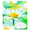 Зошит в лінію 60 аркушів, кольорова обкладинка, дизайн: Summer flowers Yes 766080