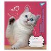 Тетрадь в линию 12 листов, цветная обложка, дизайн: Adventurous cats Yes 766539