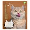 Зошит в лінію 12 аркушів, кольорова обкладинка, дизайн: Adventurous cats Yes 766539
