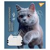 Тетрадь в линию 12 листов, цветная обложка, дизайн: Adventurous cats Yes 766539