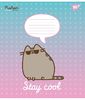 Зошит в косу лінію 12 аркушів, кольорова обкладинка, дизайн: Pusheen Yes 766937