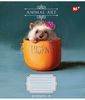 Тетрадь в линию 18 листов, цветная обложка, дизайн: Animal art Yes 766988