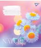 Зошит в клітинку 24 аркуші, кольорова обкладинка, дизайн: Nature colorful Yes 767020