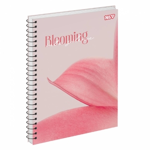 Книга канцелярская А4, 80 страниц в клетку, обложка картон мягкий Blooming 152283 Yes