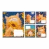 Зошит у клітинку 18 аркушів, кольорова обкладинка, дизайн: Sunny cat 1 Вересня 768771