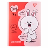 Папка для тетрадей пластиковая А4, на липучке Line Friends. Cony 492104 Yes